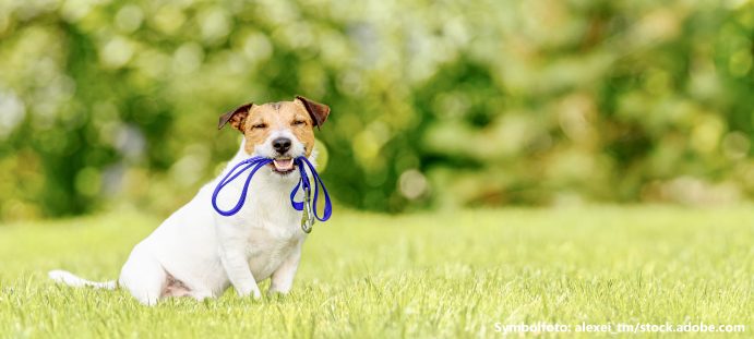 Longkamp Allgemeine Informationen zur Leinenpflicht für Hunde RLP